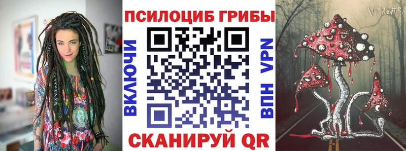 продажа наркотиков  Кувшиново  Псилоцибиновые грибы Psilocybe 